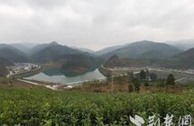 竹山县出台三年行动方案 全产业链推进茶产业高质量发展