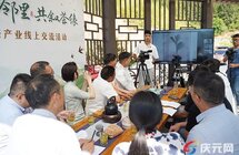 庆元县举办“庆台邻里，共叙茶缘”庆台茶产业线上交流活动