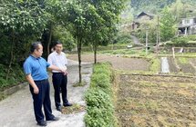张才金到保靖吉首调研春耕生产及茶产业发展情况