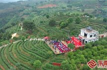 三明尤溪｜推进茶产业数字化发展