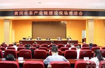 黄冈市茶产业链工作现场会召开，“东道主”红安捧出6.6万亩“绿色有机茶”