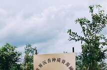 世界沉香种质资源圃已在海南初步建成