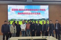 台湾团队拟在福清打造沉香产业