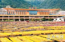 永春达埔｜打响“香品牌” 建“站前新城”