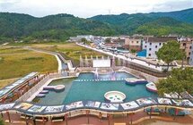 宁海下枫槎村｜“茶文化”艺术村展露风姿