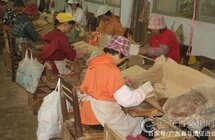 非遗广东｜“幽香宜人，保健环保”——小冈香制作技艺