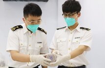 深圳湾海关查获濒危物种沉香制品12千克