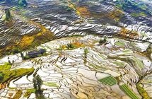 擦亮农业文化遗产“金字招牌”（新知）