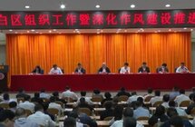 广东电白出台13条举措“乡村振兴人才驿站平台和沉香研究院等平台”