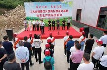 湖北省房县门古寺｜提升茶产业 助推乡村振兴发展