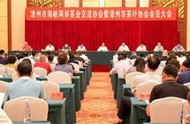 福建漳州举行海峡两岸茶业交流会推动茶产业持续稳定发展