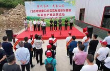 茶产业提质增效！十堰房县门古寺镇让茶农真正“靠山吃山”
