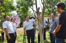 盖文启到三更罗镇开展沉香调研