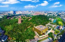 寮步｜以香市文化之奇、森林生态之美，造岭南香韵小镇