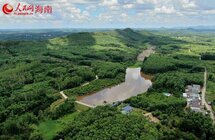 澄迈县效古村｜沉香飘香产业旺 乡村振兴有奔头