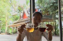 云南普洱｜茶旅融合 打造茶文化深度体验旅游目的地