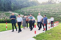 江西省副省长殷美根一行莅临海南大观沉香公司考察指导