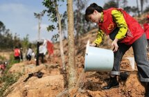 种植沉香树，助力乡村振兴｜志愿者义务植树添新绿