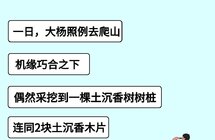 非法盗挖“土沉香”树，判刑！