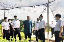 副省长王斌｜率队到海南大观沉香公司琼中基地考察调研