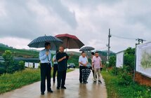 海南省政协副主席、民革海南省委主委陈马林到海南大观沉香公司琼中基地调研