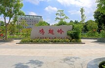 东莞大岭山鸡翅岭村｜以香立村，“香”村展新颜