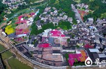 永春达埔｜建设芳香康养之都 全力打造县域副中心