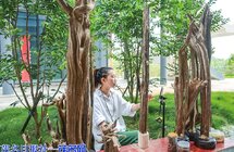 “直播带货”为电白沉香插上“云翅膀” 实现声量销量“双增长”