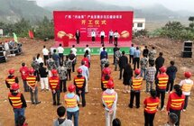 广西“兴业茶”产业发展示范区建设项目开工