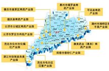 云浮十大南药——沉香 ，种植基地１２个