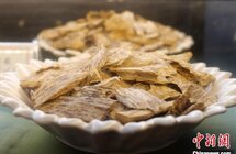 海南屯昌｜以“沉香”之香 谋产业之路