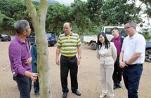 杨晓棠｜率队赴清溪镇调研莞香文化及产业发展情况
