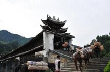 中俄专家学者“云端”建言中蒙俄加强合作 复兴“万里茶道”