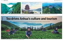 黑茶之乡“点绿成金” 引领千亿湘茶产业