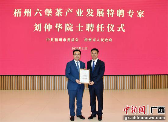 主办方供图
