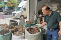 广西玉林建设千亿元香料产业集群