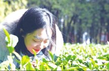 小茶叶 大产业