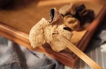 以案释法｜陈皮虽香 “炒”有风险