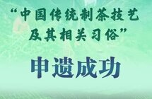 这片金叶香飘全世界
