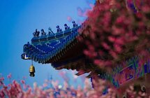 研发特色文旅商品，活化南京地域文化