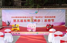 2022第五届东莞（寮步）采香节活动在牙香街举行