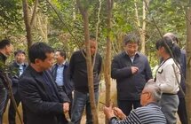 沉香是玉林市十大重点农业产业之一