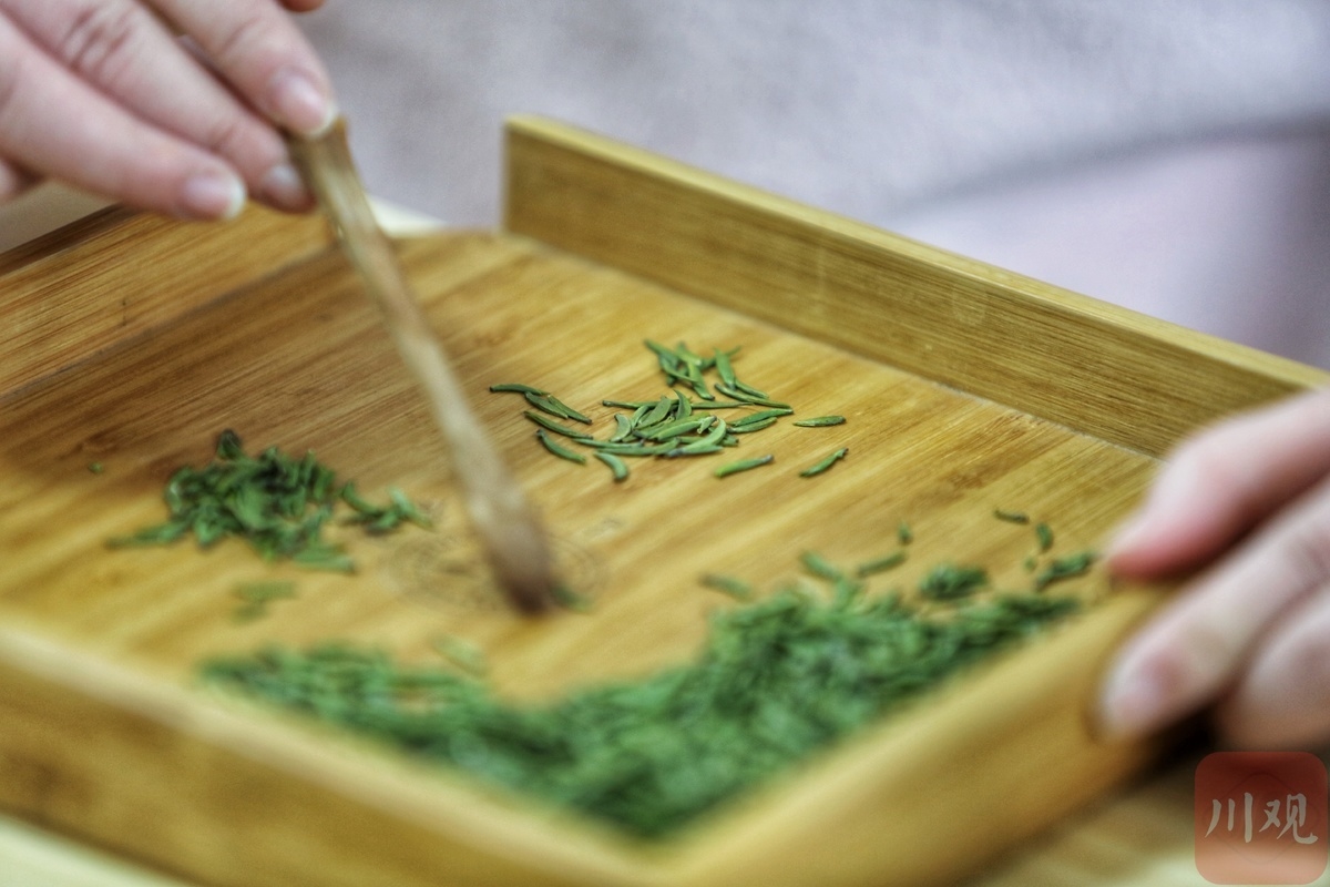   制茶。何海洋 摄影（资料图片）