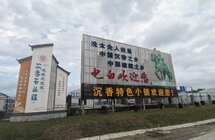 全力打造观珠沙垌村“沉香第一村”