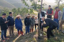 杨子文｜到琼中基地传授沉香造香技术