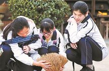 香飘海丝路 托起百亿产业