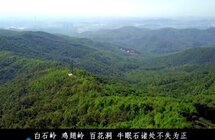 大岭山鸡翅岭村｜莞香传承六百年 重振“香村”换新颜