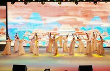 成都武侯第五届市民文化艺术节举行