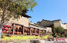 乡约福建｜文化振兴促宁德乡村振兴