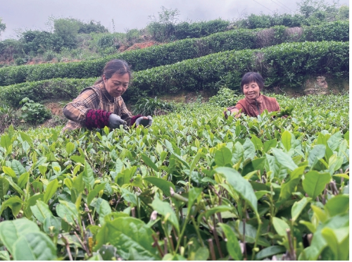 把生态优势转化为市场优势